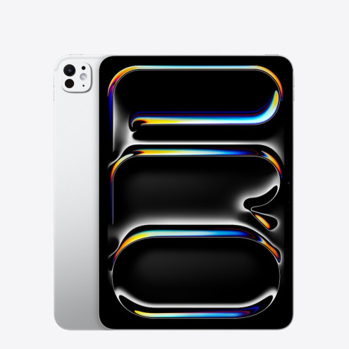Apple iPad Pro 11" Wi-Fi + Cellular mit Standardglas 1TB silber Mai 2024